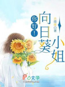 你好！向日葵小姐