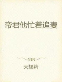 帝君他忙着追妻